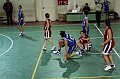 IMG_4050pallacanestro Roma